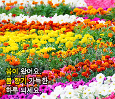 ������ -  MMS �̸�Ƽ���Դϴ�