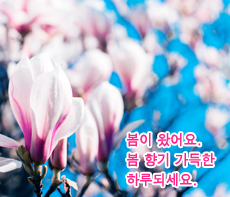 ������ -  MMS �̸�Ƽ���Դϴ�