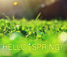 ������ -  MMS �̸�Ƽ���Դϴ�