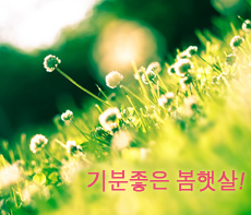 ������ -  MMS �̸�Ƽ���Դϴ�