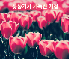 ������ -  MMS �̸�Ƽ���Դϴ�