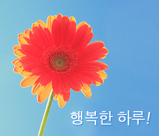 ������ -  MMS �̸�Ƽ���Դϴ�