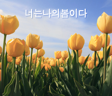 ������ -  MMS �̸�Ƽ���Դϴ�