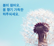 ������ -  MMS �̸�Ƽ���Դϴ�