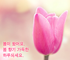 ������ -  MMS �̸�Ƽ���Դϴ�