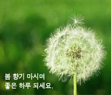 ������ -  MMS �̸�Ƽ���Դϴ�