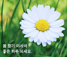 ������ -  MMS �̸�Ƽ���Դϴ�