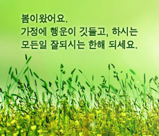 ������ -  MMS �̸�Ƽ���Դϴ�