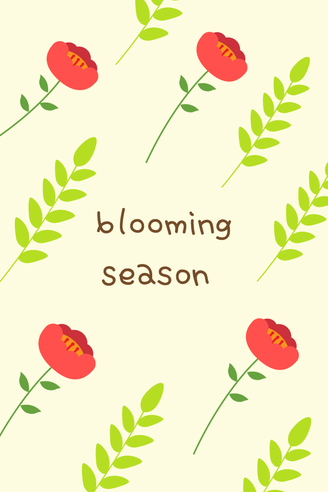 ������ -  MMS �̸�Ƽ���Դϴ�