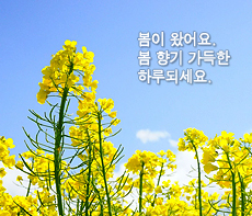 ������ -  MMS �̸�Ƽ���Դϴ�