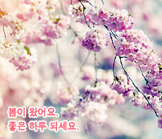 ������ -  MMS �̸�Ƽ���Դϴ�