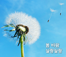 ������ -  MMS �̸�Ƽ���Դϴ�