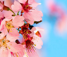 ������ -  MMS �̸�Ƽ���Դϴ�