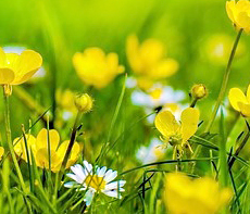 ������ -  MMS �̸�Ƽ���Դϴ�